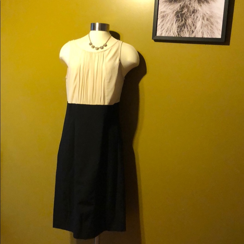 EUC The Limited Black And Cream dress